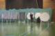 small_3081011070016_small.jpg