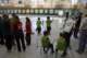 small_3081111270232_small.jpg