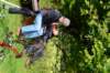 dsc_0830_small.jpg